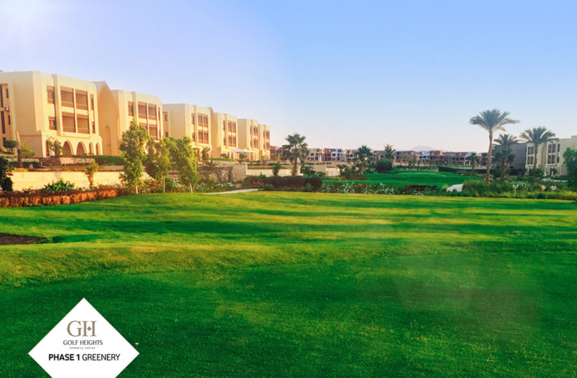 Golf Golf Height Sharm el Sheik a due passi da neom il golf di sharm el sheik